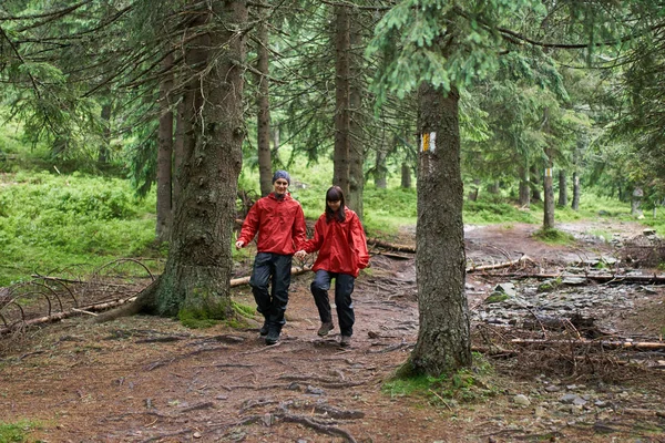 Junges Paar Beim Wandern Malerischen Grünen Hochland — Stockfoto