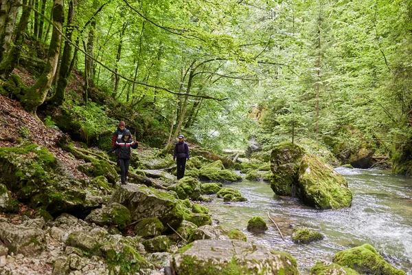 Groep Mensen Wandelen Parcours Bergbos — Stockfoto