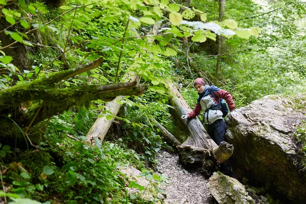 Jeune Homme Randonnée Sur Sentier Forêt Montagne — Photo