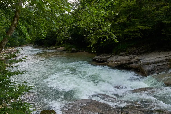 Malerischer Blick Auf Fluss Fließt Durch Grünen Laubwald — Stockfoto
