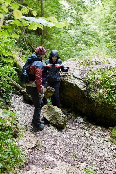 insanlar dağ orman izinde hiking