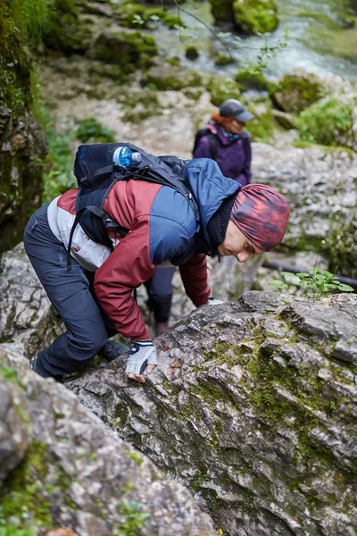 Люди Ходять Стежці Гірському Лісі — стокове фото