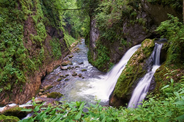 峡谷和茂盛植被的瀑布景观观 — 图库照片