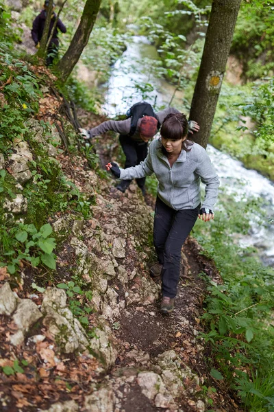 Mensen Wandelen Parcours Bergbos — Stockfoto