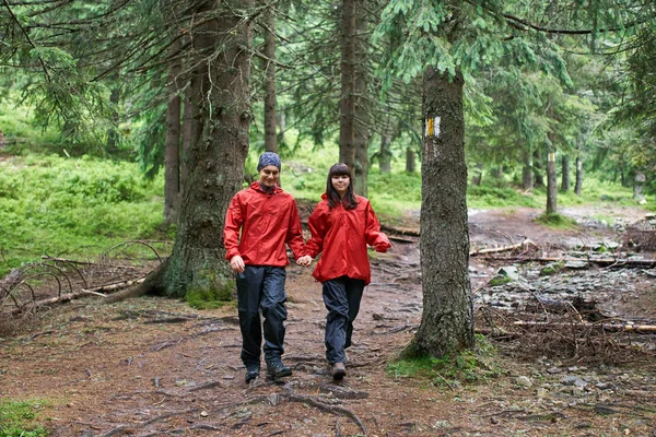 Junges Paar Beim Wandern Malerischen Grünen Hochland — Stockfoto