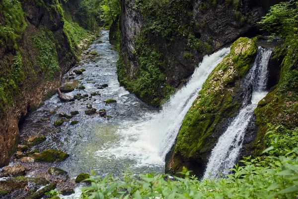 Вид Водоспад Ущелині Пишна Рослинність — стокове фото