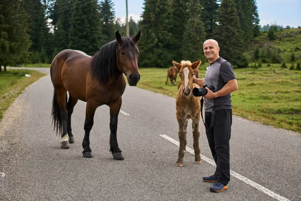 Man Befriending Young Curious Colt Road — Stock Photo, Image