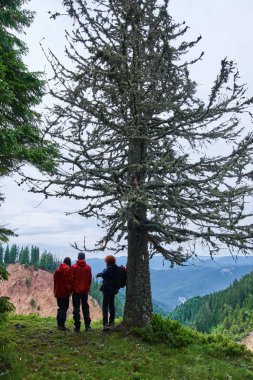 İnsanlar Rusty Pit zam Apuseni doğal rezerv, Romanya