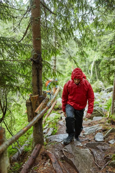 在松树林小径上穿雨衣的男子徒步旅行者 — 图库照片