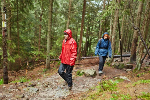 森の道でハイキング レインコートの女性 — ストック写真