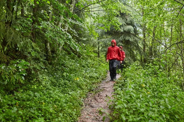 トレイルのハイキング山の森林に 休暇を過ごす人々 — ストック写真