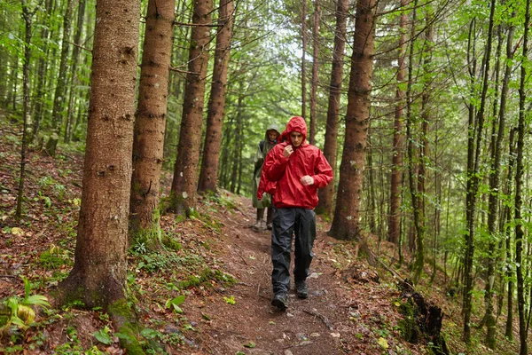 People on holiday, hiking into the mountain forests on trails