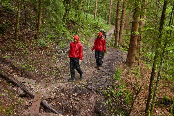 Mensen Vakantie Wandelen Bergbossen Trails — Stockfoto