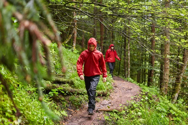 Emberek Nyaralás Túrázás Hegyi Erdőkben Végezte Pályák — Stock Fotó