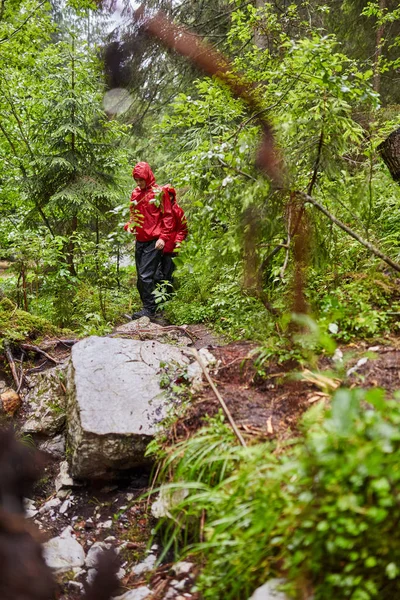 Les Gens Vacances Randonnée Dans Les Forêts Montagne Sur Les — Photo