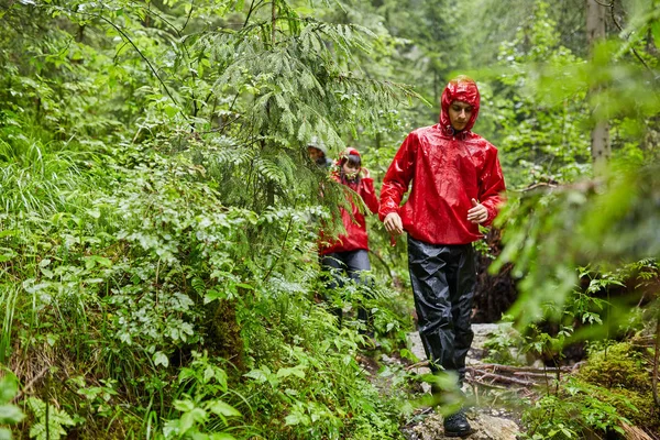 Άνθρωποι Στις Διακοπές Πεζοπορία Στα Δάση Των Βουνών Μονοπάτια — Φωτογραφία Αρχείου
