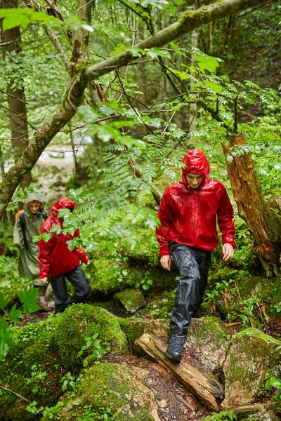 トレイルのハイキング山の森林に 休暇を過ごす人々 — ストック写真