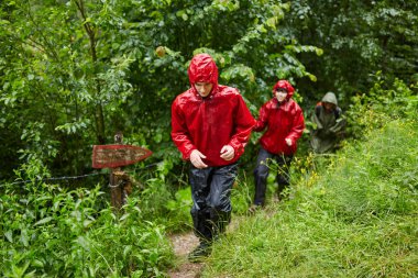 Dağ ormanları yürüyüş parkurları üzerinde insanlar tatil,