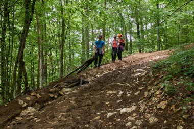 Dağ ormanları yürüyüş parkurları üzerinde insanlar tatil,