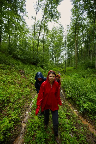 Dağ Ormanları Yürüyüş Parkurları Üzerinde Insanlar Tatil — Stok fotoğraf