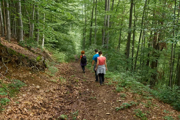 People on holiday, hiking into the mountain forests on trails