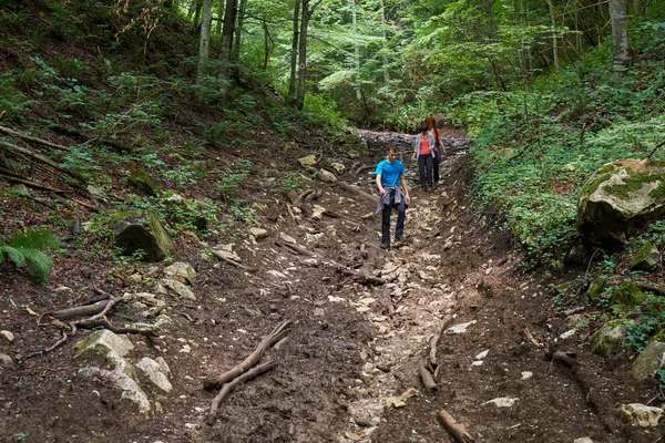 People on holiday, hiking into the mountain forests on trails