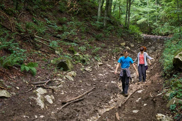 People on holiday, hiking into the mountain forests on trails