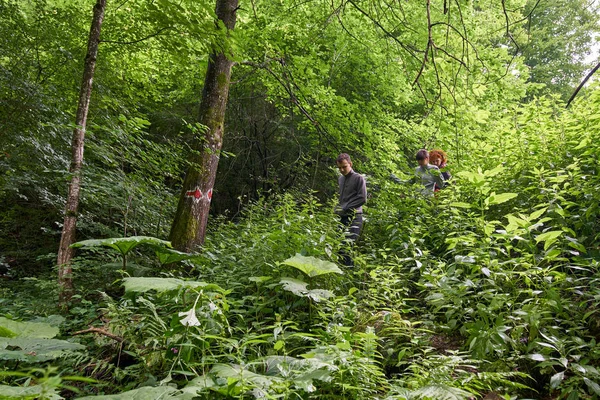 People on holiday, hiking into the mountain forests on trails