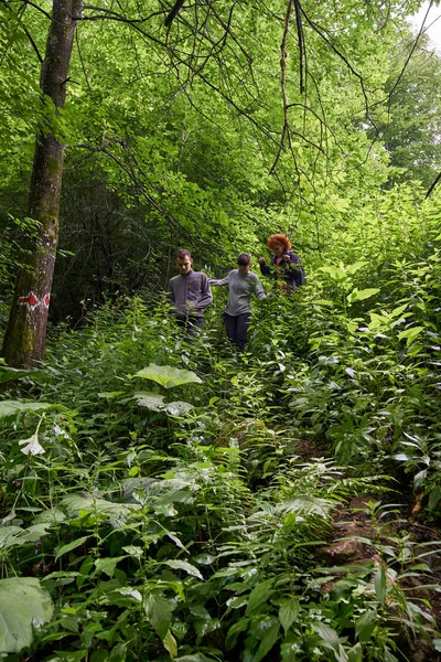 People on holiday, hiking into the mountain forests on trails