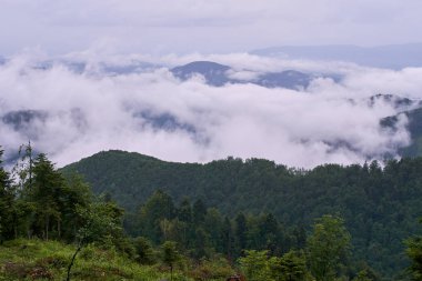 Bulutlar ile manzara ve Romen dağlardaki ormanlarda kaplı tepeler üzerinde sis