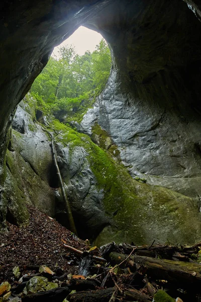 Grotta Portile Bihorului Nel Parco Naturale Apuseni Romania — Foto Stock