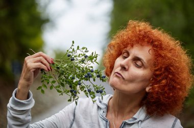 Yaban mersini doğrudan doğruya--dan dalları yemek kadın