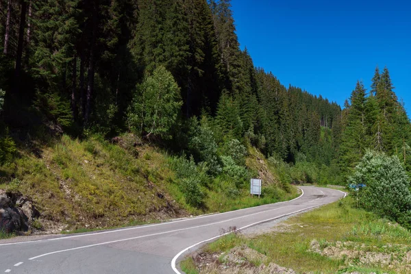 Camino Asfalto Que Las Montañas Través Bosques Pinos — Foto de Stock