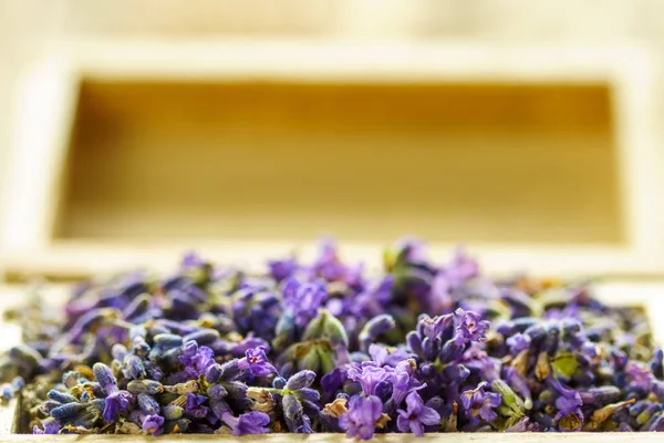 Flores Lavanda Uma Caixa Madeira Tiro Macro — Fotografia de Stock