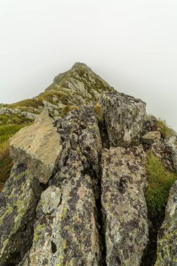 Dağlık arazide, sisli dağlarda yürüyüş izleri var.