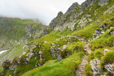 Dağlık arazide, sisli dağlarda yürüyüş izleri var.