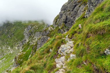 Dağlık arazide, sisli dağlarda yürüyüş izleri var.