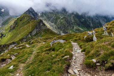 Dağlık arazide, sisli dağlarda yürüyüş izleri var.