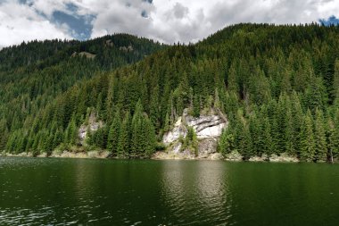Çam ormanlarıyla kaplı dağlar arasında güzel bir göl olan yaz manzarası.