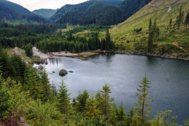 Dağlarda bir Baraj Gölü ve çam ormanı ile manzara