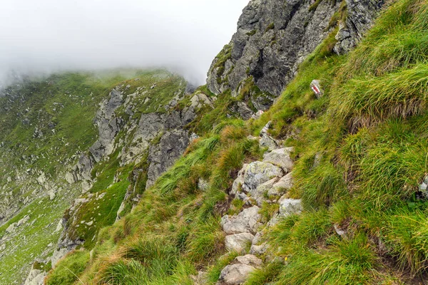 Paisaje Alpino Con Sendero Senderismo Montaña Niebla — Foto de Stock