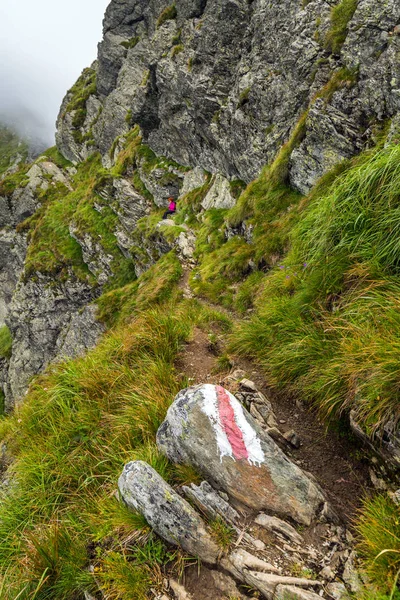 Caminante Mujer Caucásica Con Mochila Caminando Por Sendero Montañas Rocosas —  Fotos de Stock