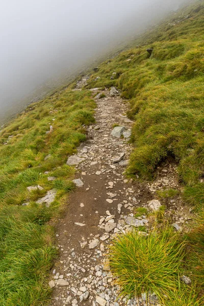 Paisaje Alpino Con Sendero Senderismo Montaña Niebla — Foto de Stock