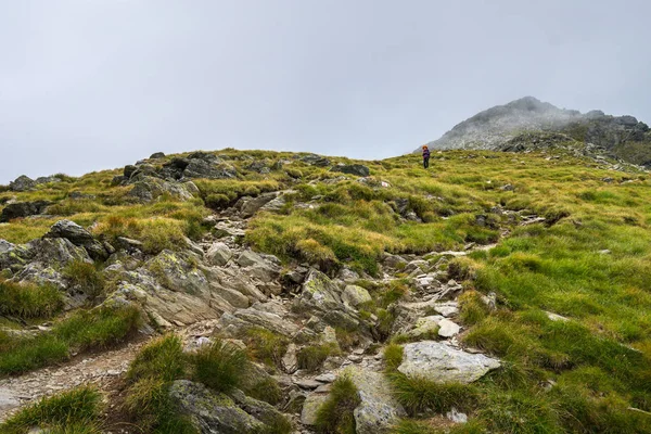 Kaukasische Vrouw Wandelaar Met Wandelen Een Parcours Rocky Mountains Rugzak — Stockfoto