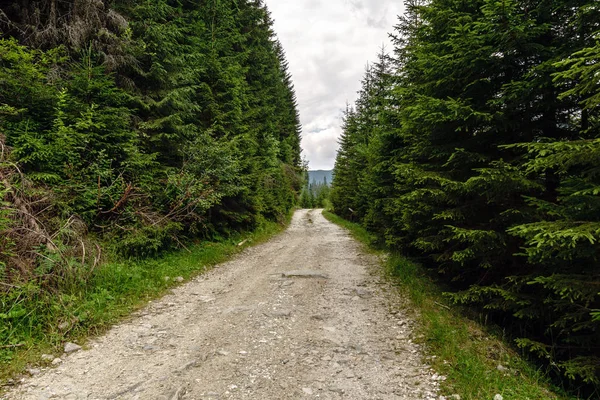 Köy Yolunda Pines Dağlarda Aracılığıyla Ile Manzara — Stok fotoğraf