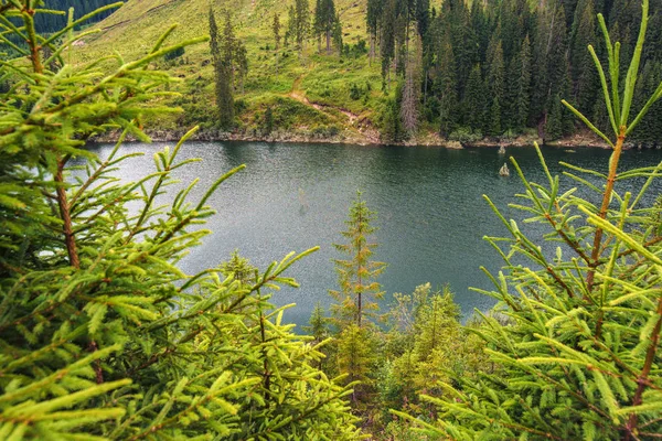 อนท ทะเลสาบท สวยงามระหว างภ เขาท ปกคล วยป าสน — ภาพถ่ายสต็อก