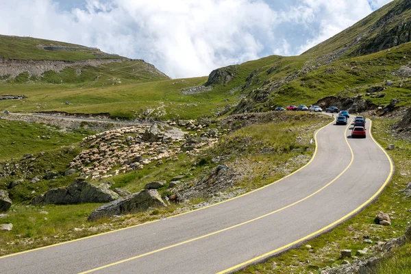 Trafik Yol Dağlarda Geçiş Koyun Sürüsü Tarafından Durduruldu — Stok fotoğraf