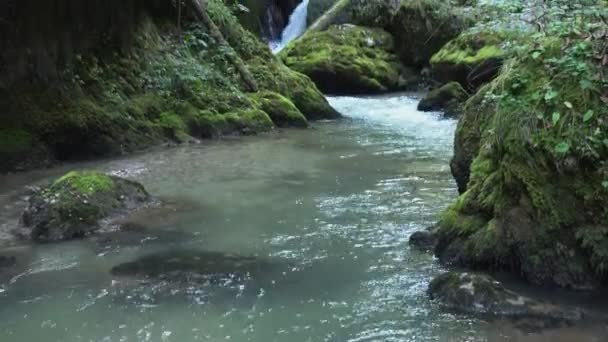 Galbena River Panorering Upp Dagtid — Stockvideo