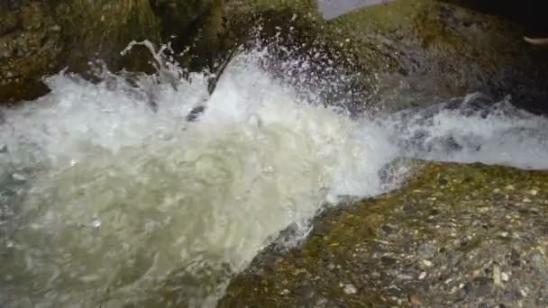 Skönhet Vattenfall Flyttar Stenar Dagtid Slowmotion — Stockvideo