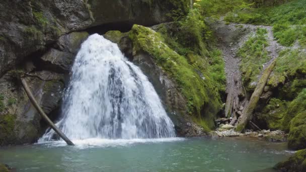 Vista Cascada Del Ventilador Belleza Rodeada Árboles Plantas Verdes — Vídeo de stock